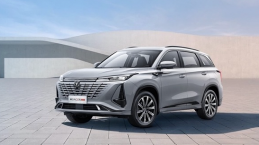 SUV銷量TOP 10變天了,千年老二終于登頂!