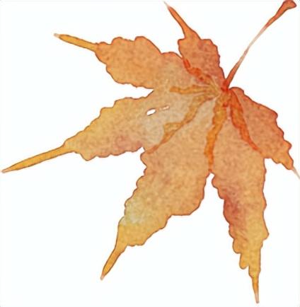 出生時僅650克的巴掌女嬰出院了