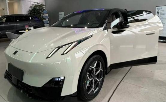 領克Z20、Model Y、寶馬iX1全攻略!年輕人選什么車搞清楚!