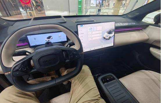 領克Z20、Model Y、寶馬iX1全攻略!年輕人選什么車搞清楚!