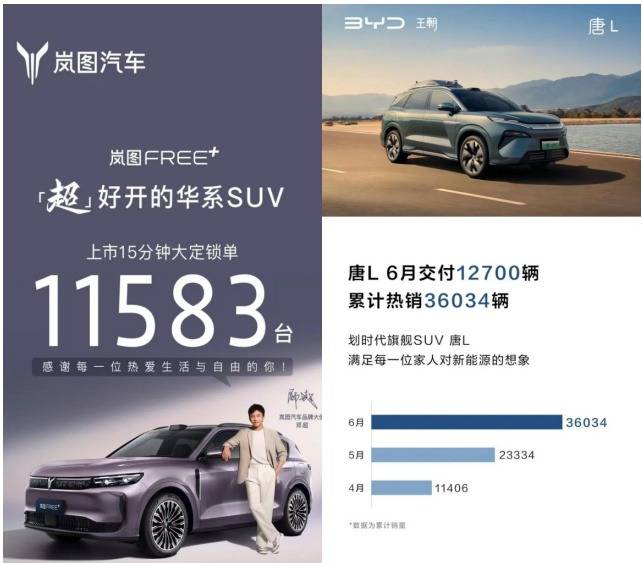 同為爆款單品,嵐圖FREE+和唐L DM該怎么選?