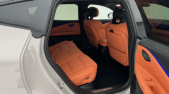 領克10 EM-P現身街頭,長超5米+530馬力,配冰箱+小桌板