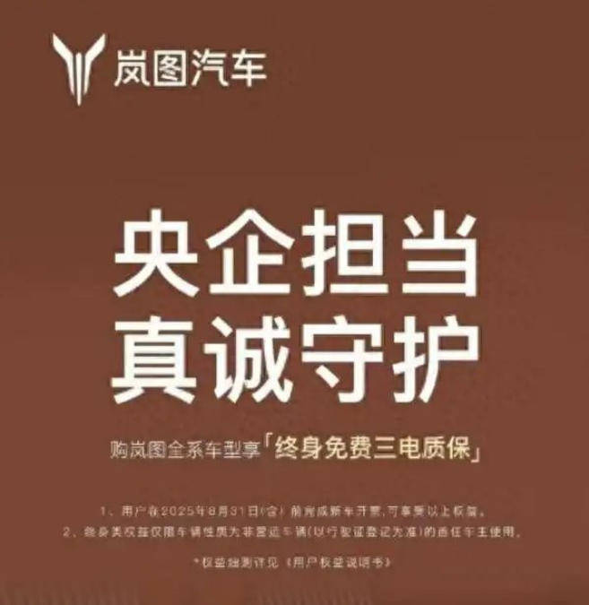 用戶倒逼出終身質(zhì)保,被迫“聽勸”的嵐圖真的太想上主桌了