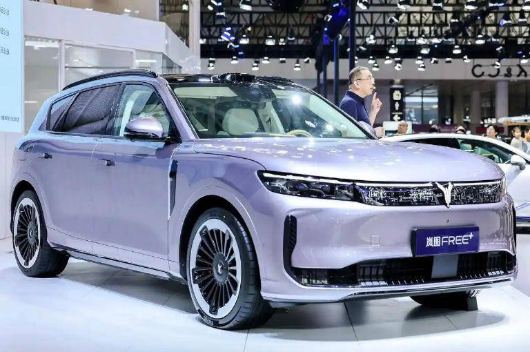 用戶倒逼出終身質(zhì)保,被迫“聽勸”的嵐圖真的太想上主桌了