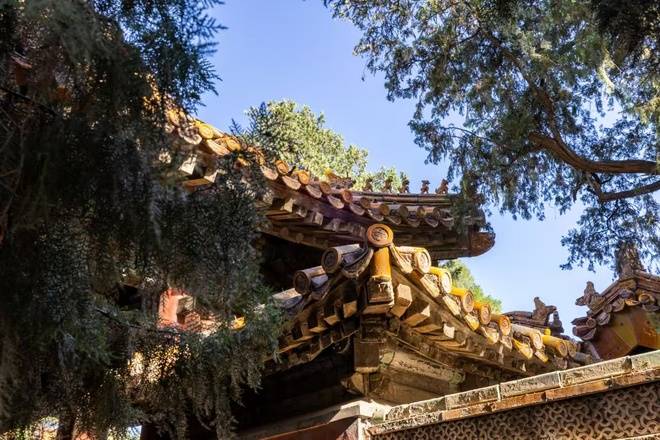 奔馳始終恪守追求卓越的品牌基因,將前沿科技、數字化工具與客戶洞察融入產品與服務,持續引領豪華出行風潮