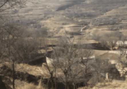 誰在花三四十萬買增程大SUV?一句話點破原委,好多人看完流淚了