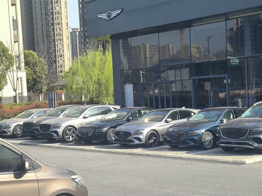 四川街頭,偶遇韓國“財閥”座駕G90,副駕駛:比12缸輝騰還罕見