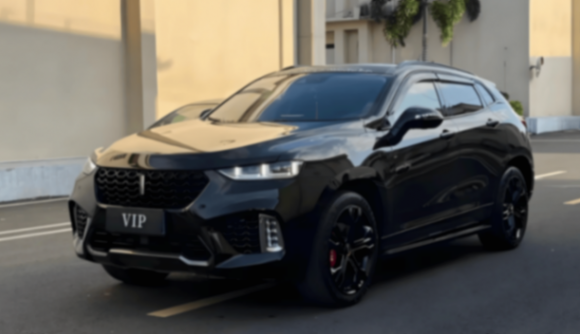 讓坦克歸位,讓魏牌更純粹,長城汽車布下雙贏棋局